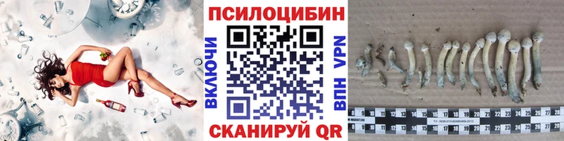 Псилоцибиновые грибы GOLDEN TEACHER Белая Холуница