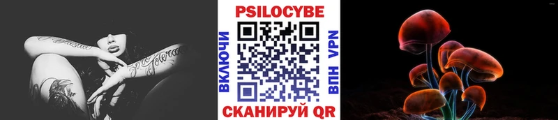 Псилоцибиновые грибы GOLDEN TEACHER  Белая Холуница 